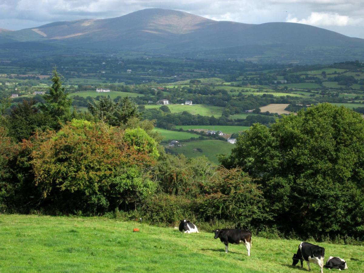 Mount Brandon Cottages Graiguenamanagh Exterior photo