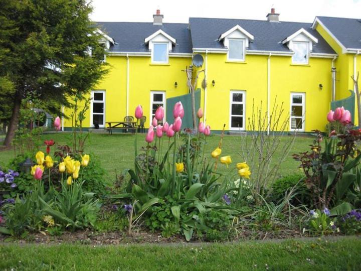 Mount Brandon Cottages Graiguenamanagh Exterior photo